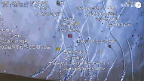 嗶哩嗶哩廣告賬戶怎樣開通？