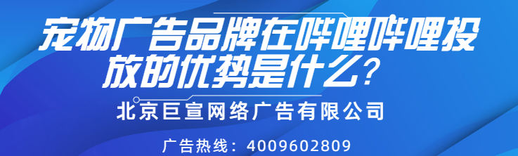 寵物品牌營銷怎樣在嗶哩嗶哩實現推廣轉化？