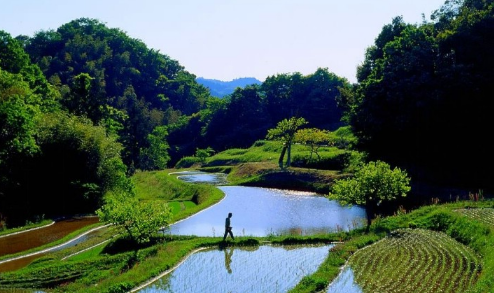 oppo廣告怎么推廣？OPPO廣告競價