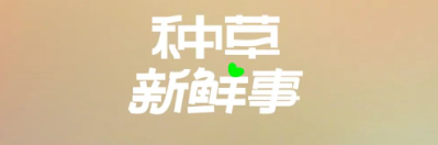 小紅書廣告推廣|與宜家深化合作，攜手并進開啟新篇！