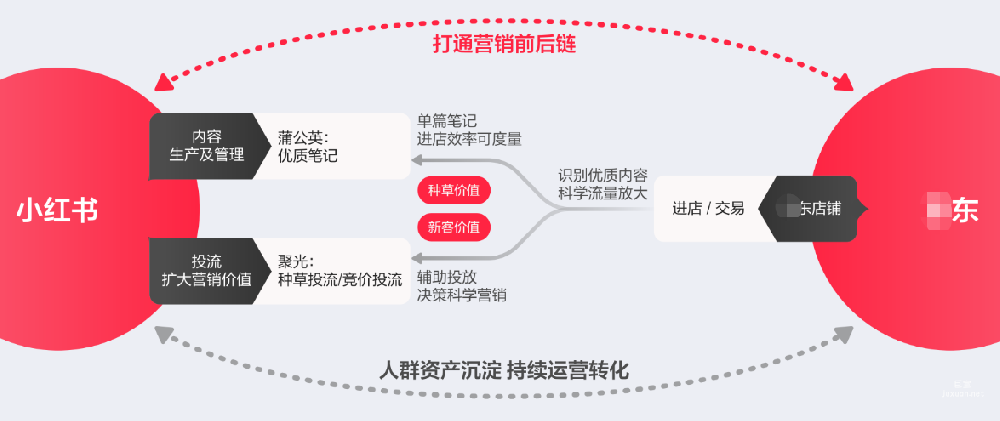 小紅盟介紹，小紅盟合作形式 | 小紅書廣告