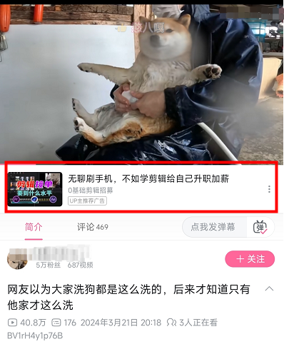 up主推薦廣告效果展示
